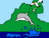 Disegno Delfino e gabbiano  pitturato su mari