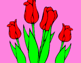 Disegno Tulipani  pitturato su riccardo