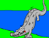 Disegno Alligatore che entra nell'acqua  pitturato su FRANCESCO PIO