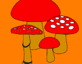 Disegno Funghi pitturato su GIULIA
