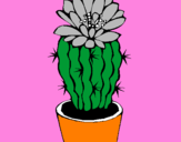 Disegno Cactus fiorito  pitturato su ketj