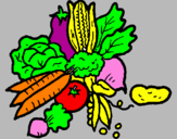 Disegno verdure  pitturato su GIULIA