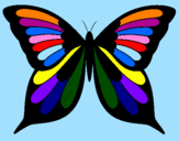 Disegno Farfalla 8 pitturato su viola