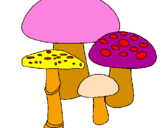 Disegno Funghi pitturato su e