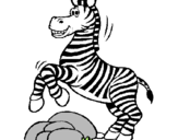 Disegno Zebra che salta sulle pietre  pitturato su luca violetti