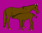 Disegno Cavalli  pitturato su jasdeep
