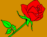 Disegno Rosa  pitturato su desirée