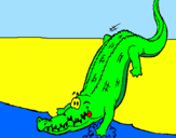 Disegno Alligatore che entra nell'acqua  pitturato su CARLO