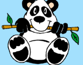 Disegno Orso panda  pitturato su sara varesio