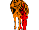 Disegno Zebra  pitturato su sofia
