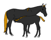 Disegno Cavalli  pitturato su giuseppe