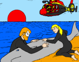 Disegno Salvataggio di una balena pitturato su ALESSIA