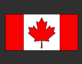 Disegno Canada pitturato su slash sei unico