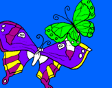 Disegno Farfalle pitturato su giadacevini              