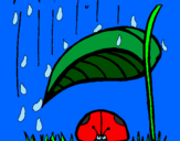 Disegno Coccinella protetta dalla pioggia  pitturato su simone n. 5 8 2002