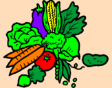 Disegno verdure  pitturato su rossella
