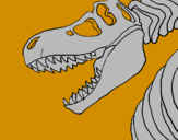 Disegno Scheletro di Tyrannosaurus rex pitturato su domenico