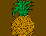 Disegno ananas  pitturato su ginevra