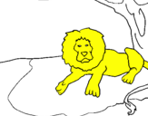 Disegno Il re leone pitturato su leo cn amore  x z arturo