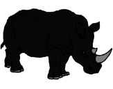 Disegno Rinoceronte  pitturato su gaiad tiozzo