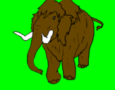 Disegno Mammuth II pitturato su CRAZY