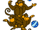 Disegno Scimmie giocoliere pitturato su ANGELA