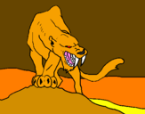 Disegno Tigre con affilati canini  pitturato su tigrus sciabolus