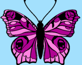 Disegno Farfalla pitturato su CAROLINA