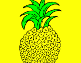Disegno ananas  pitturato su Noemi