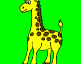 Disegno Giraffa pitturato su FLAVIO PIPAN