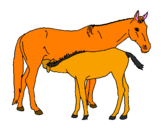 Disegno Cavalli  pitturato su spirit