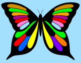 Disegno Farfalla 8 pitturato su vanessa