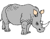 Disegno Rinoceronte  pitturato su michelangelo