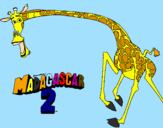 Disegno Madagascar 2 Melman 2 pitturato su manuel