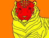 Disegno Tigre pitturato su mattia