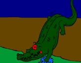 Disegno Alligatore che entra nell'acqua  pitturato su LORENZO