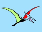 Disegno Pterodattilo  pitturato su Dinosauro Volante