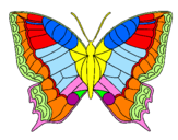Disegno Farfalla  pitturato su marta