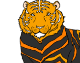 Disegno Tigre pitturato su domenico