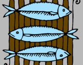 Disegno Pesce pitturato su FILIPPO
