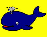 Disegno Balena che spruzza  pitturato su giulia