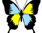 Disegno Farfalla con le ali nere pitturato su antonella salis