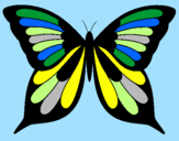 Disegno Farfalla 8 pitturato su antonio r