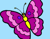 Disegno Farfalla  pitturato su DENISE