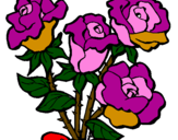 Disegno Mazzo di rose  pitturato su Francesco