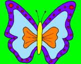 Disegno Farfalla  pitturato su Arianna