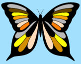 Disegno Farfalla 8 pitturato su gualtiero/teodolindo