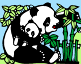 Disegno Mamma panda  pitturato su ILENIA
