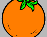 Disegno arance  pitturato su rossella