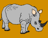 Disegno Rinoceronte  pitturato su gabriele